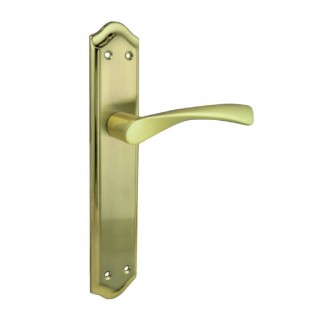 Manivela con Placa acabado brillo satinado 255mm